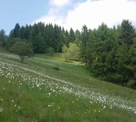 Casa Vacanze Mora 2 * Roccaforte Mondovì